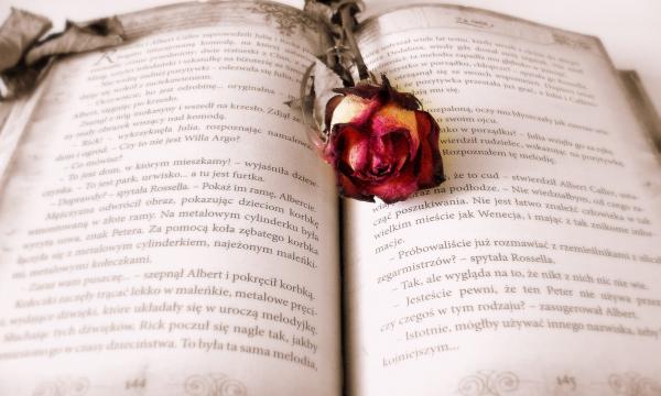 book reading love story story 53112 e1492884650618